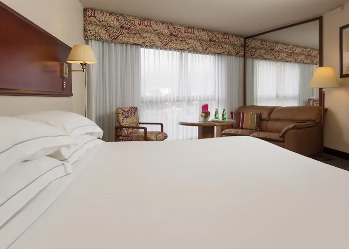 Barceló San José