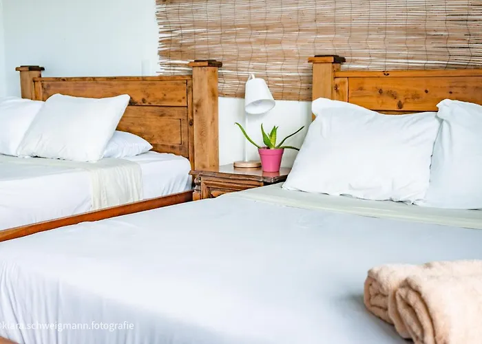 Pet Friendly hotel: Lost In San Jose Hotel & Hostel